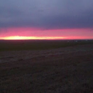 Meet your Posher, Shalece